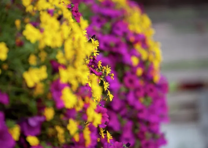 In Near Pillerseetal Area Lejlighed