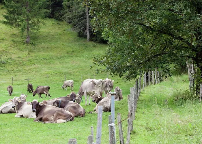 In Near Pillerseetal Area *