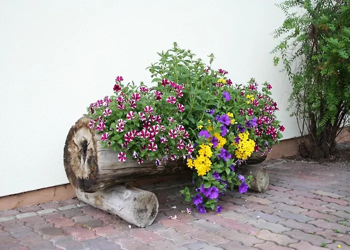 In Near Pillerseetal Area Lejlighed Waidring