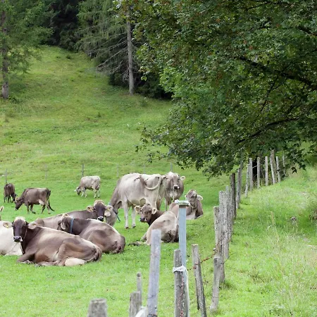 In Near Pillerseetal Area *